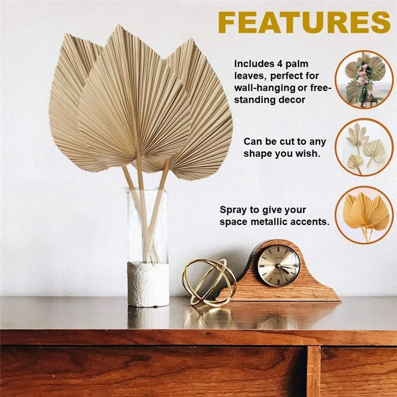 Feuilles de palmier naturelles séchées