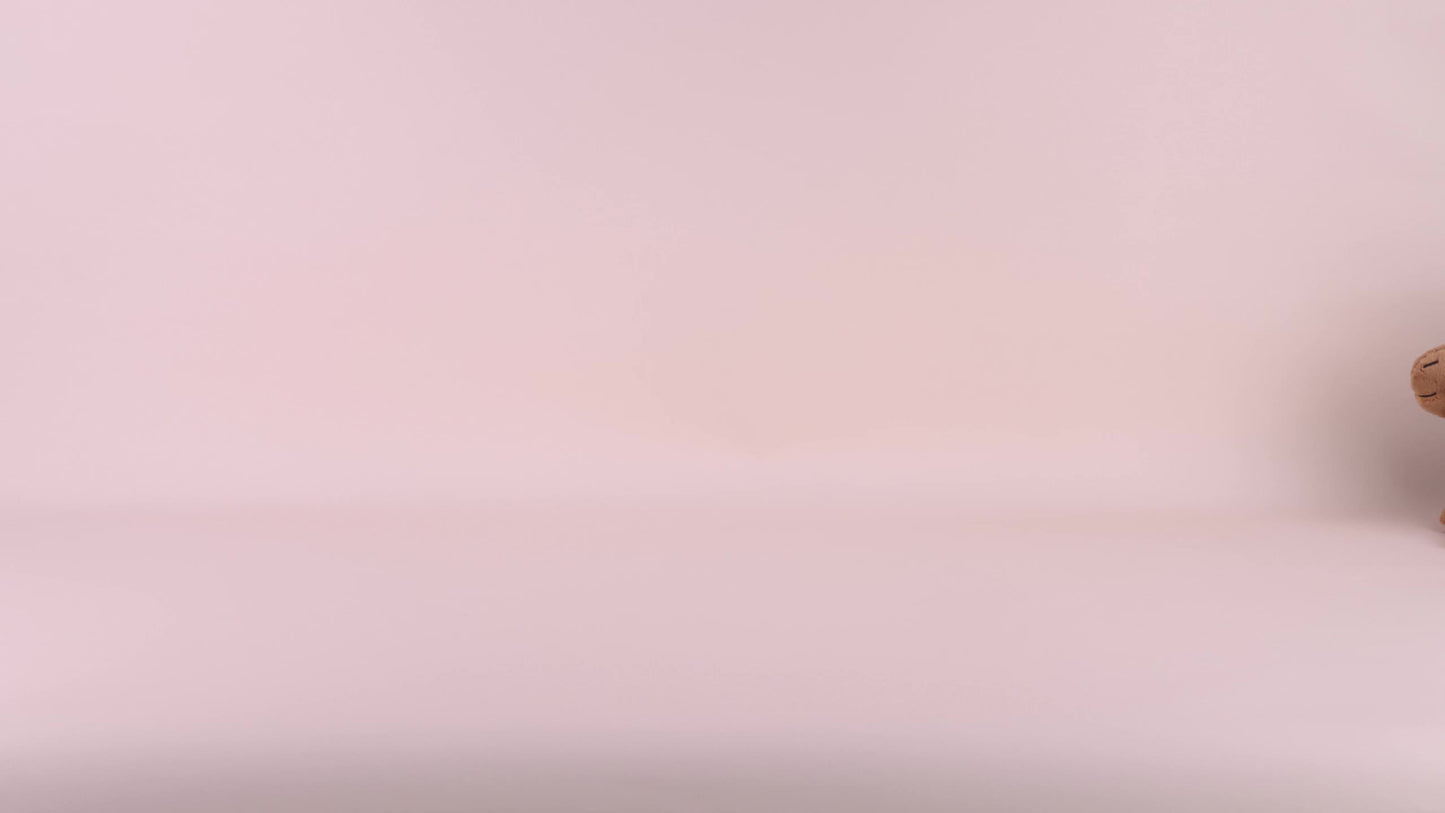 2Tailles Simulation Animal Capybara Peluche Jouets Mignon Capybara Poupées en peluche Peluche Animaux en peluche Enfants Jouet Enfants Peluche Cadeau