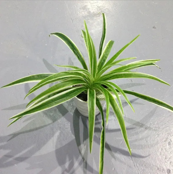 Plantes artificielles en plastique, branche de Chlorophytum, fausses plantes décoratives pour la maison, décoration de table intérieure en Pot, sans Pot