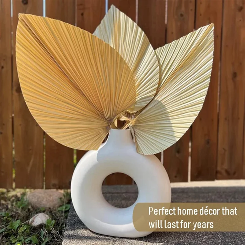 Feuilles de palmier naturelles séchées