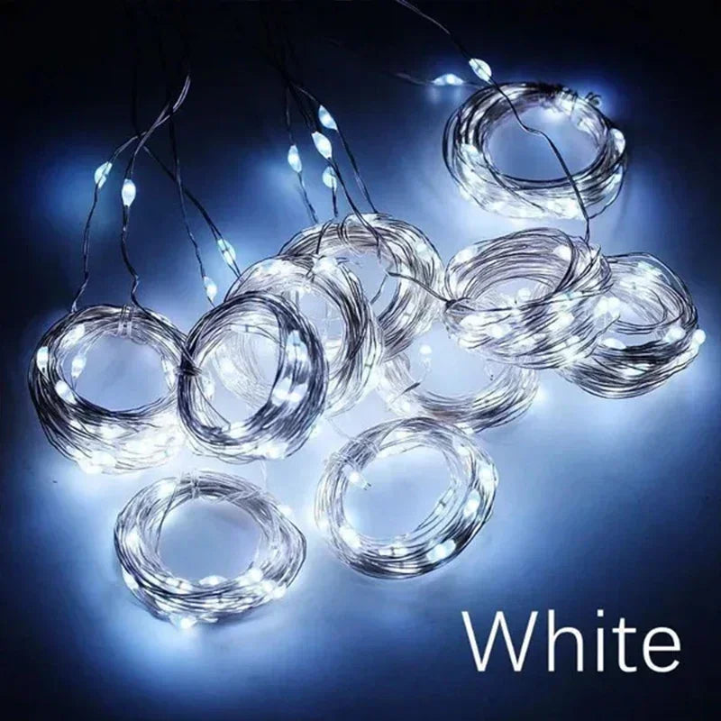 Guirxiété lumineuse LED USB pour décoration de jardin, lampe de guirxiété de vacances, nickel é, maison, fête de Noël, nouvel an, mariage, 3m, 8 modes